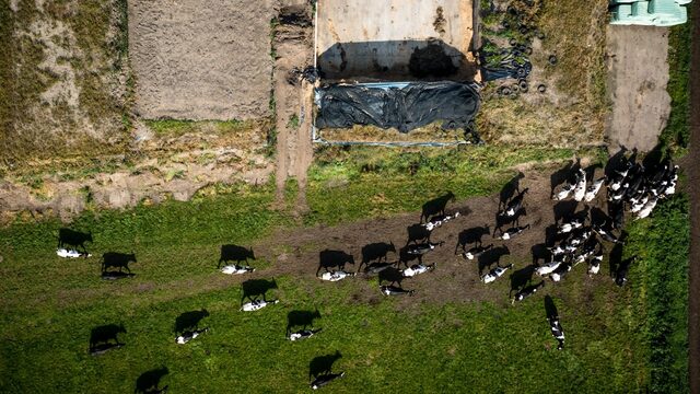 ‘Nieuwe landbouwminister moet aan eind van carrière zitten en geen afbreukrisico vrezen’
