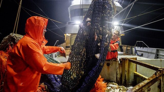 Podcast De Dag: de pijn van de Nederlandse pulsvissers
