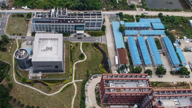 Podcast De Dag: de opmars van de Wuhan-labtheorie