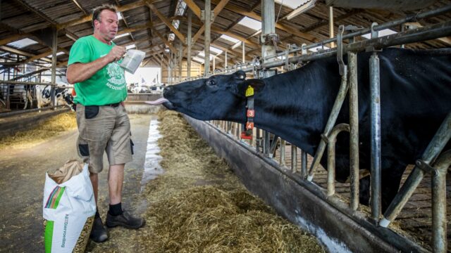 Regelwerk weerhoudt boeren van melden drugsafval: 'Er moet een vliegende brigade komen die het opruimen overneemt'