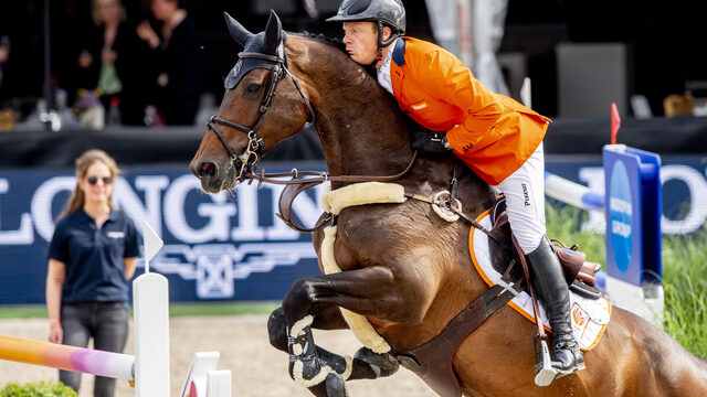 Ervaren veterinair Jan Greve over het transport van paarden en Olympische zoon Willem