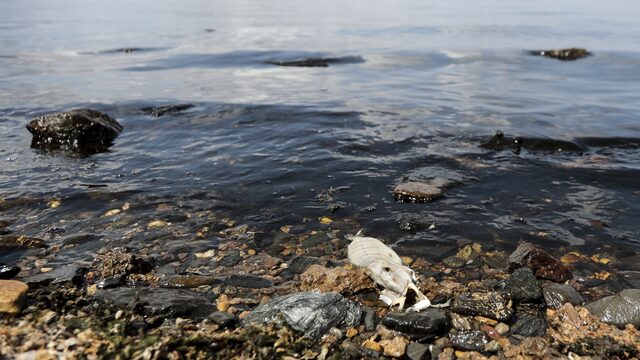 Het Spaanse meer Mar Menor krijgt eigen rechten