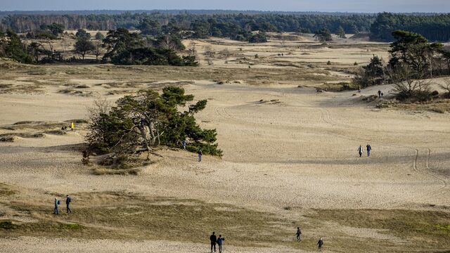 Studenten Archeologie vinden onderduikershol
