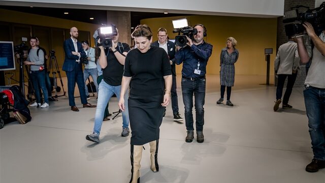 'Vertrek Ploumen is een verlies voor de linkse samenwerking'