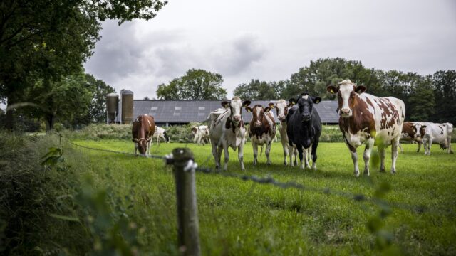 'Discussie over wetenschappelijke basis stikstofplannen niet nodig'