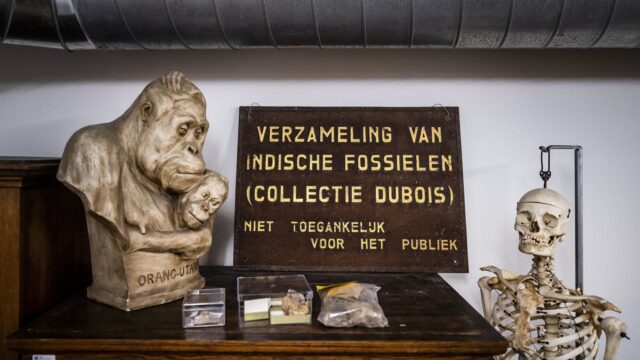 Indonesië vraagt Nederland kunststukken terug te geven