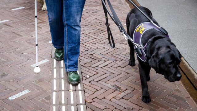 Fabrikant maakt het bionisch oog van Jeroen niet meer; 'Dancing in the dark'