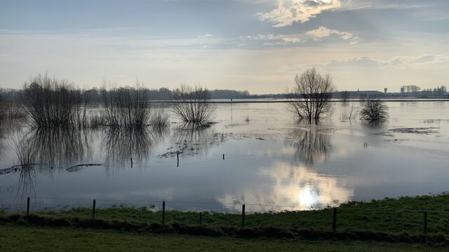 'De provincies houden niet genoeg toezicht op de waterschappen'