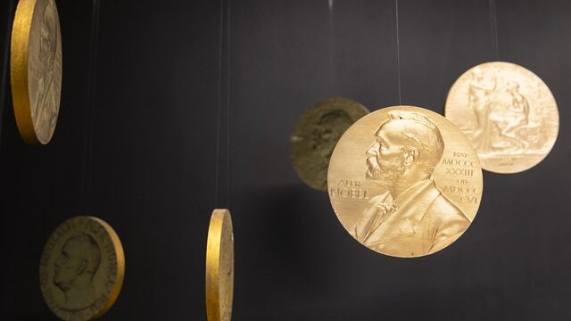 Twaalf mannen en één vrouw krijgen vandaag een Nobelprijs: 'Geen reclame voor de wetenschap'