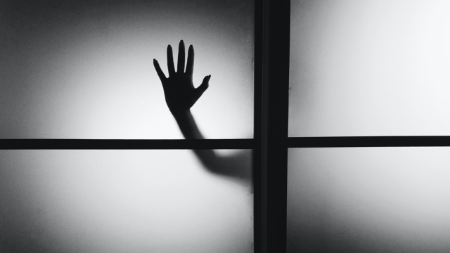 Horror is als Franse kaas: 'Niet meteen roquefort, maar begin met milde brie'