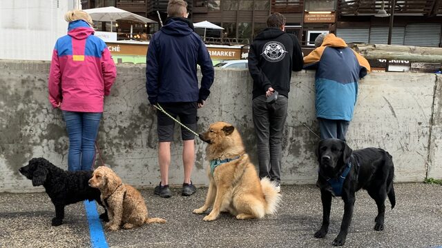 Tour-column #10: Tour du Chien