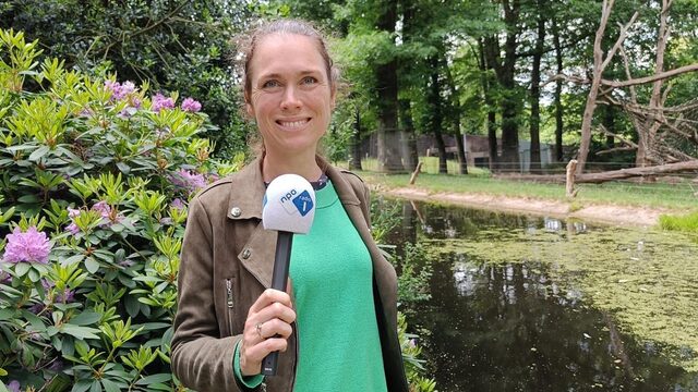 Hoogleraar Mariska Kret: 'Mens staat tussen de chimpansee en gorilla'