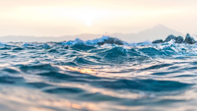 Het oceaanleven kan niet zonder metalen