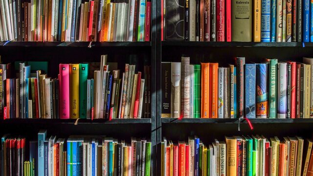 'Na Emma' en 'Vrolijk verval' zijn de beste non-fictie boeken van deze zomer