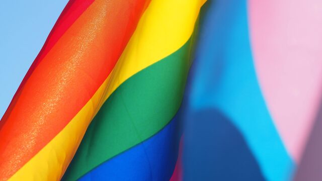 Wat is de invloed van homogenezing op het leven van de slachtoffers?