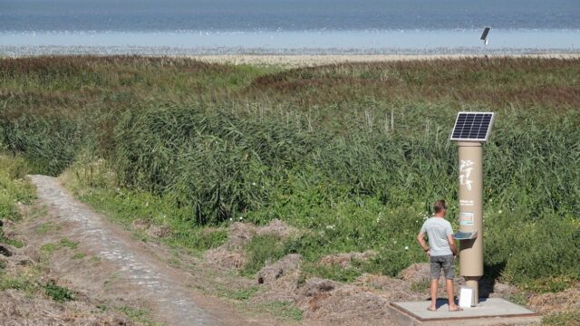 Wadvogels beschermen met een slim stoplicht