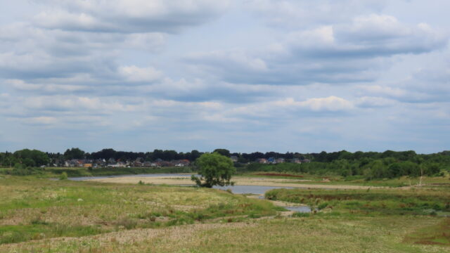 Grensmaas: van stinkende rivier tot bijzondere natuur