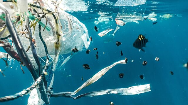 Een beter klimaat begint bij jezelf? Industrie legde jarenlang bal bij consument