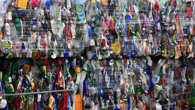 80 procent van vlees en melk bevat plastic: ‘Groot varken krijgt creditcard aan plastic per dag binnen’
