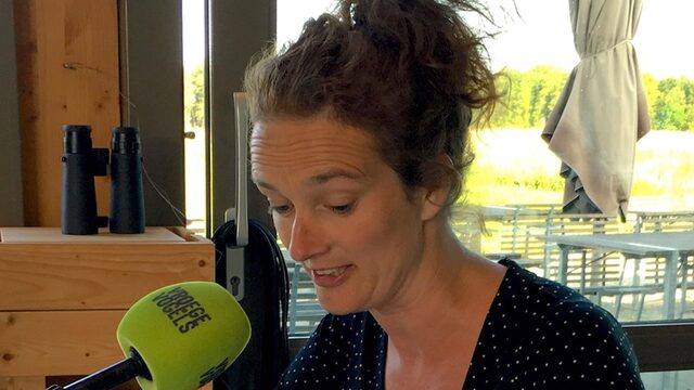 Dankzij metershoog geborduurd bos worden 100.000 bomen geplant