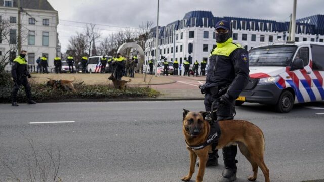 Wordt er goed gezorgd voor politiehonden- en paarden? 'Het zijn onze collega’s'