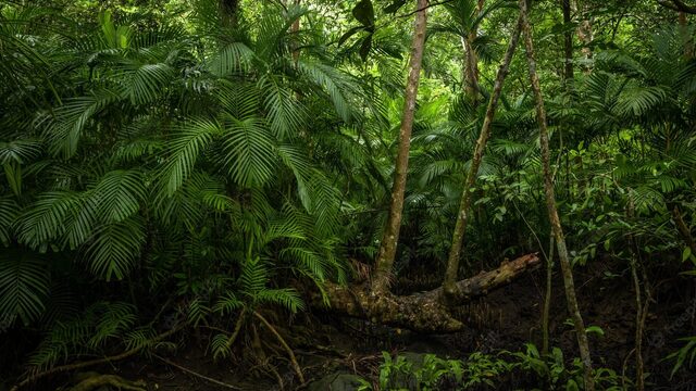 Natuurbeschermingsinitiatief 'EarthToday' kan oprichters miljarden opleveren