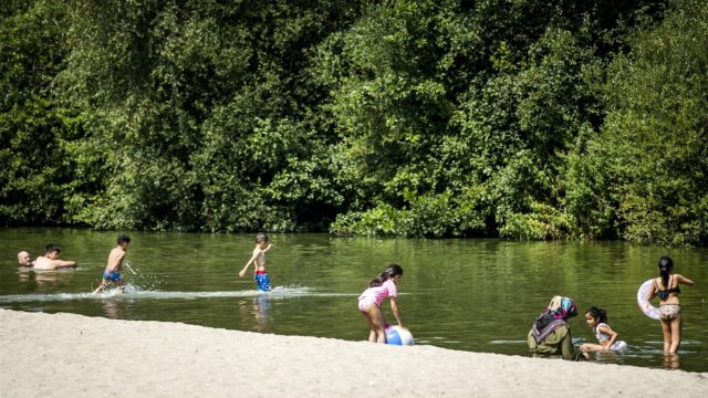 Zwemmen tijdens hittegolf? Zo herken je blauwalg in het water