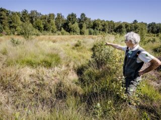 Stand.nl: 'We moeten onze bossen beter beschermen'