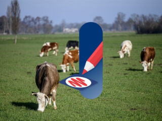 NPO Radio 1 in alle Staten: Volg hier alles over de verkiezingen