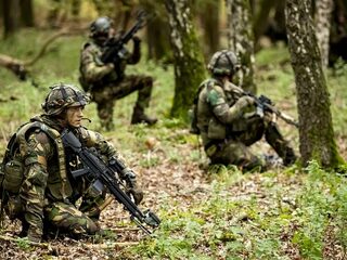 Stand.nl: 'Nederlandse hulp aan Oekraïne moet alleen op verdediging gericht zijn'