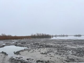 Tien jaar Marker Wadden