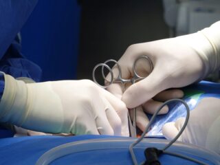 Aantal donornieren te laag: zouden we geld moeten bieden aan donoren?