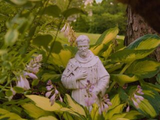 Franciscus van Assisi had radicale meningen, maar bracht ze ook in de praktijk: 'Een voorbeeld'