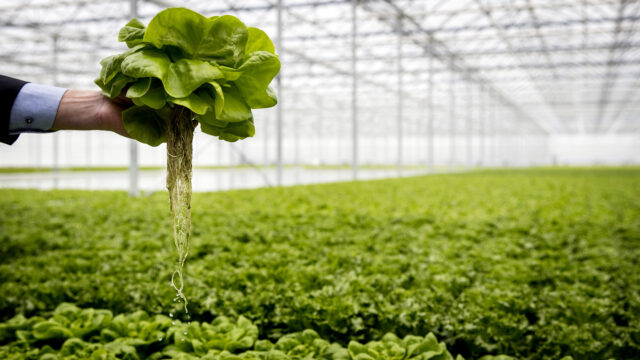 Van wondermiddel tot ziektemaker: 'Het Pesticidenparadijs' toont de schaduwzijde van pesticiden