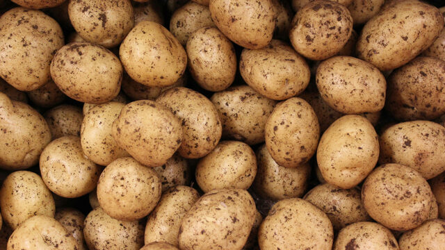 Voedzaamheid gewassen neemt af door toename van CO2