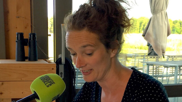 Nathalie Baartman: De wildplukker
