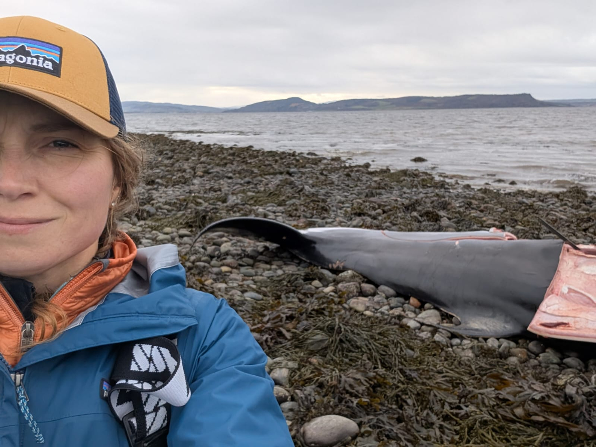 Mariel ten Doeschate doet onderzoek bij een vinvis