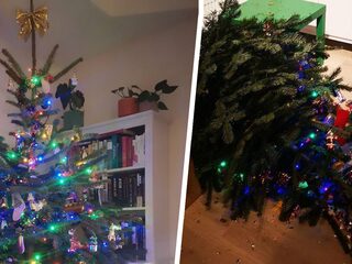 De nachtmerrie van elke kerstliefhebber? Die beleeft luisteraar Maaike