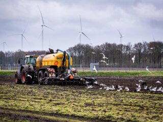 Wetenschapper waarschuwt: 'Verdwijning derogatie juist slecht voor milieu'