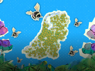 Haal gratis zaad voor de bij!