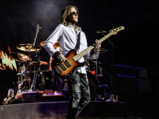 De Gouden Snaar van Tom Hamilton