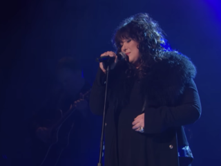 De Gouden Strot van Ann Wilson