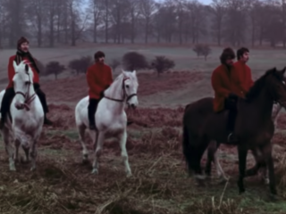 Weet jij alles over dieren in de NPO Radio 2 Top 2000?