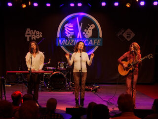 Muziekcafé met The BlueBirds, Navarone en Rob Dekay