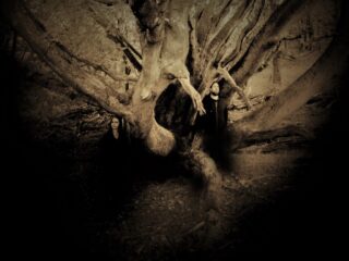 Atmosferische black metal van Witte Wieven