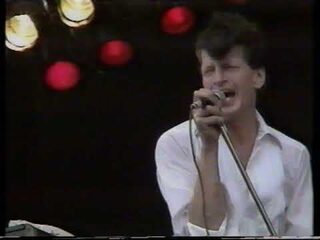 Saturday Night live op PinkPop door Herman Brood & His Wild Romance