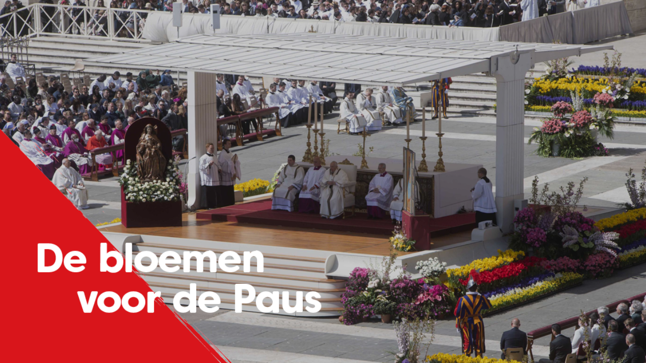 'Bedankt voor de bloemen': bloemkunstenaar Piet zoekt de bloemen uit