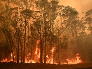 Waarom zijn de bosbranden in Australië zo moeilijk te bestrijden?