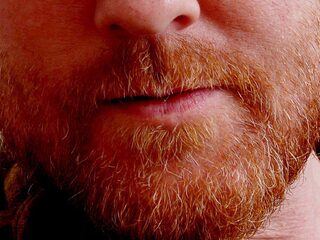 Waarom hebben blonde mannen vaak een rossige baard?