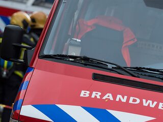 Brandweerman geeft hond mond-op-mondbeademing